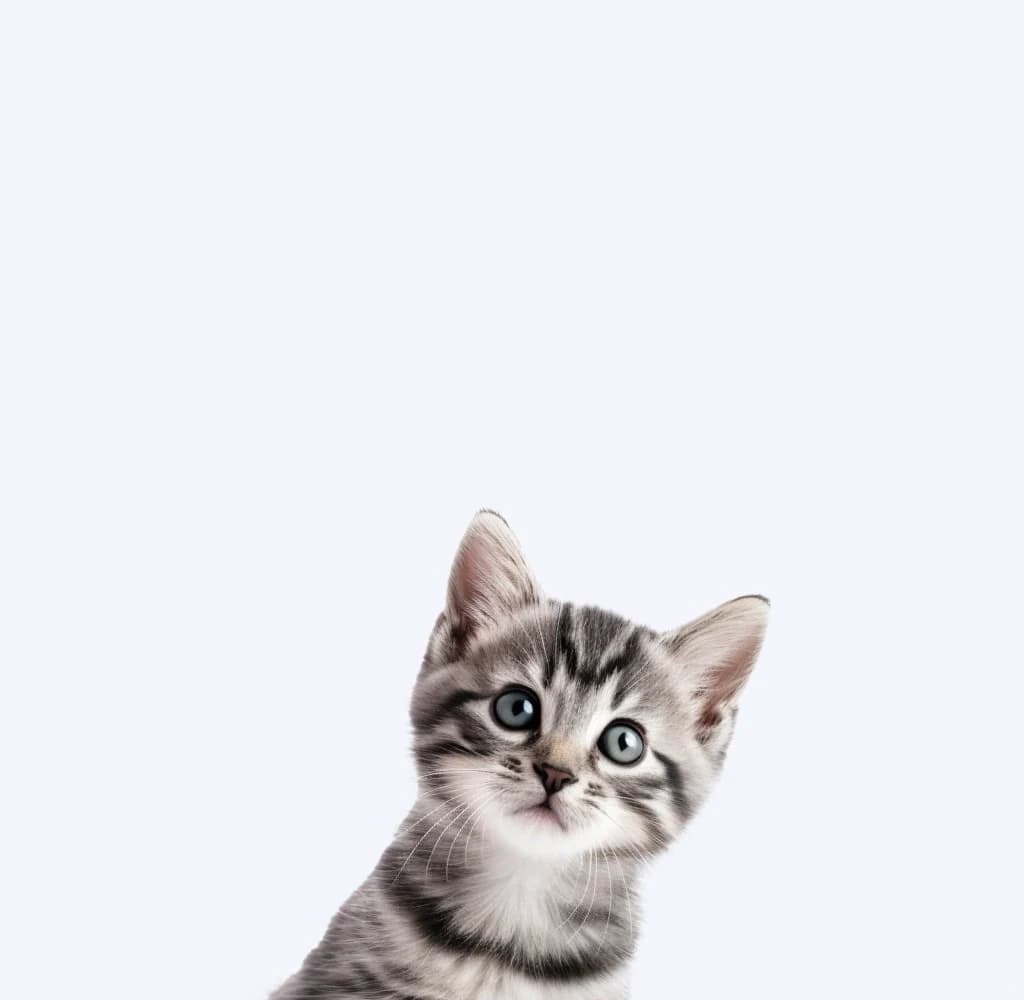 Все анализы в одном месте