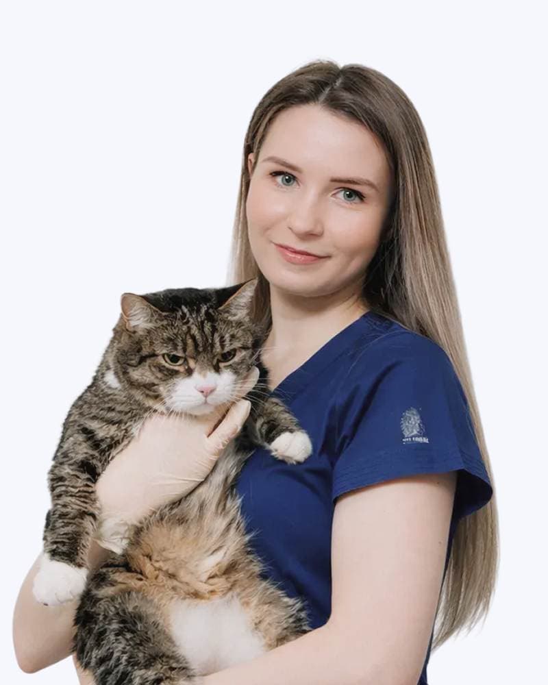 Виктория Ивановна Човганюк