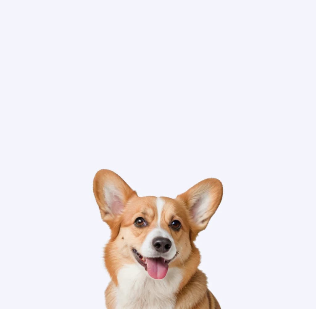 Хирургия любой сложности