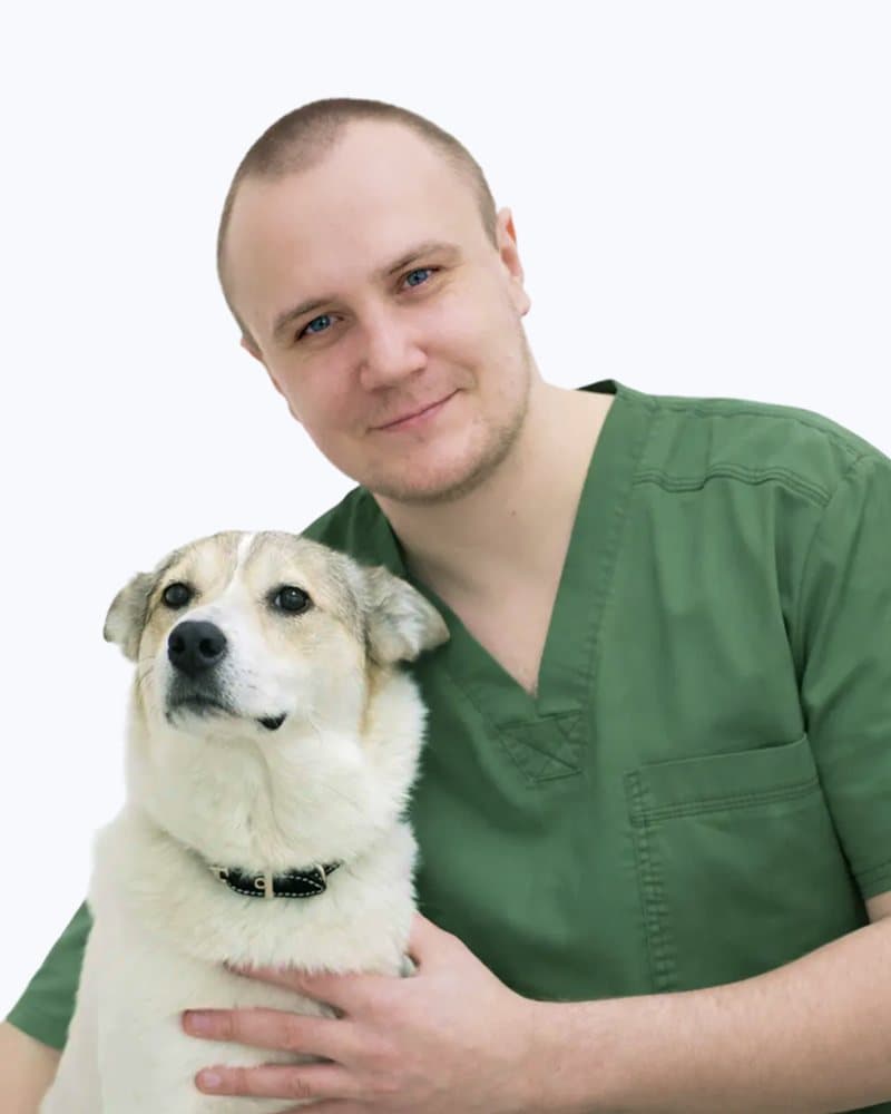 Александр Иговерич Харламов