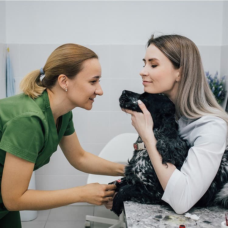 О нашей клинике